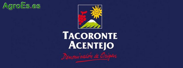 Vinos de Tacoronte Acentejo con Denominación de Origen