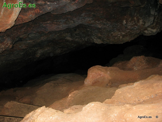 Cueva de Montesinos