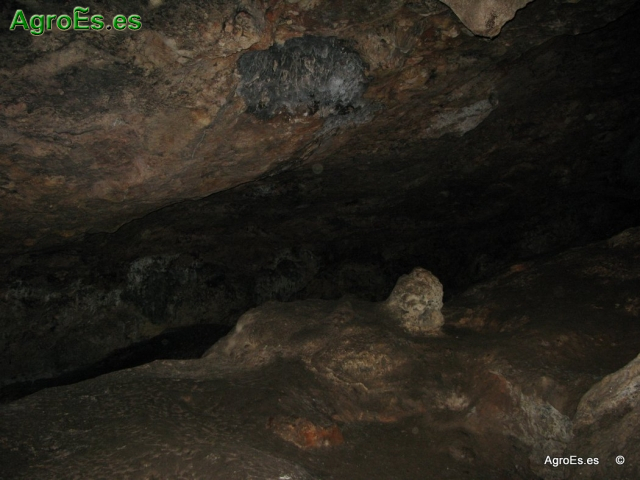 Cueva de Montesinos