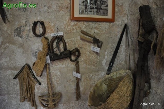Museo Etnológico de San Clemente