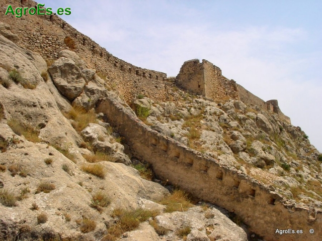 La Peña, muralla y castillo