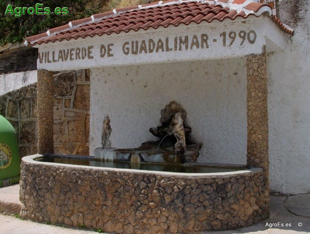 Villaverde de Guadalimar