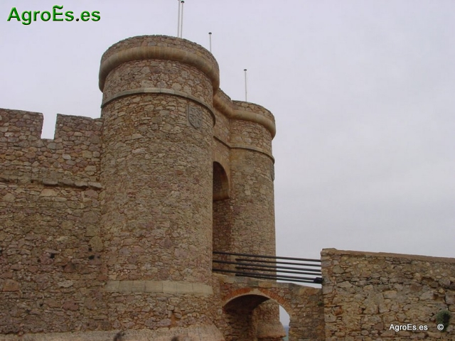 Castillo de Chinchilla