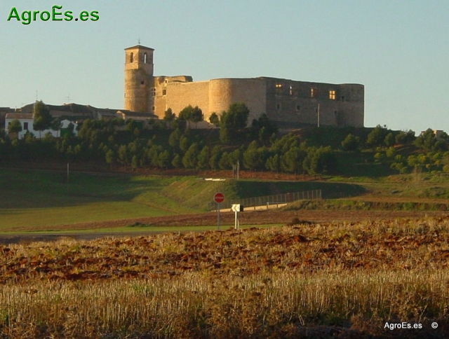 Castillo de Garcimuñoz