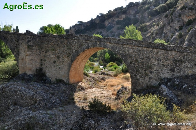 Bonito Puente de El Castellar