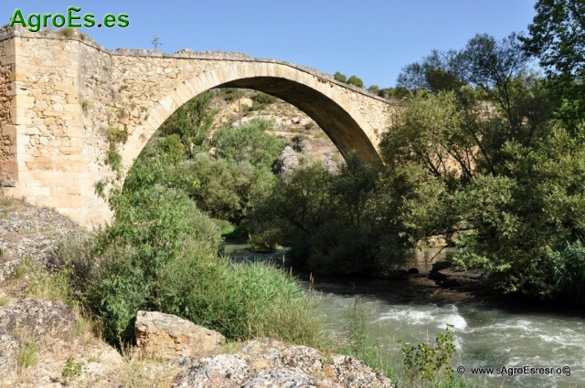 Bonito Puente de El Castellar