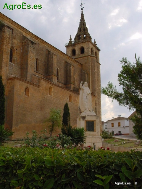 Villanueva de la Jara