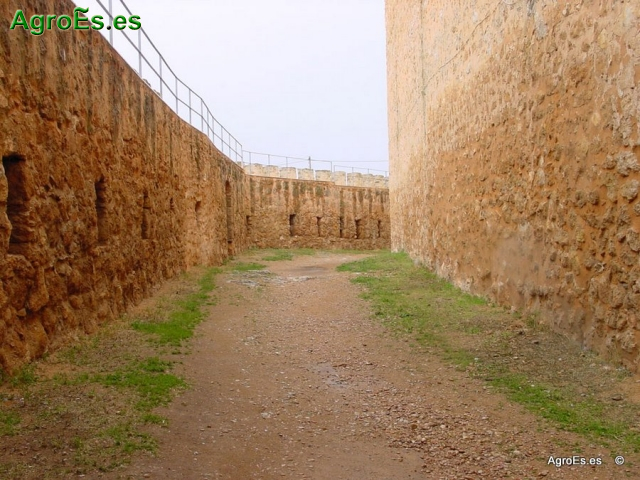 Castillo de Peñaroya
