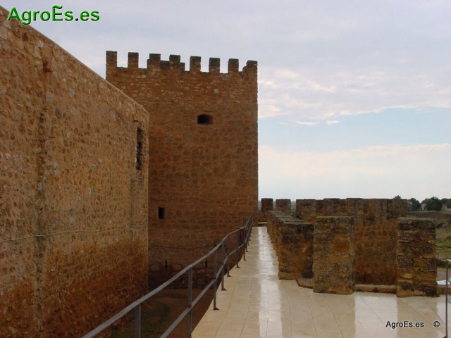 Castillo de Peñaroya