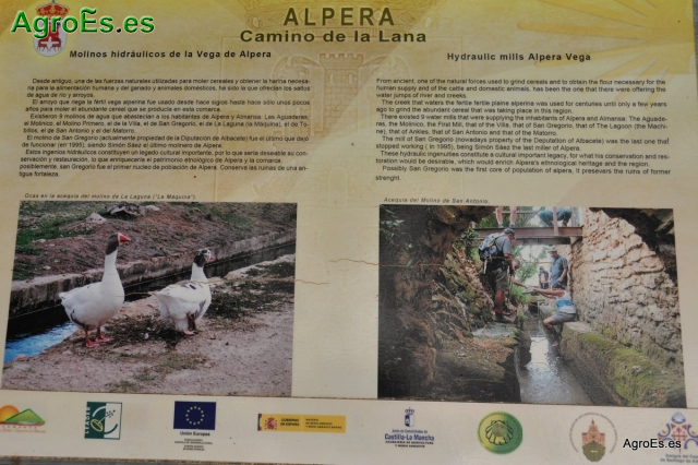 Senderismo por Los Molinos de Agua en Alpera