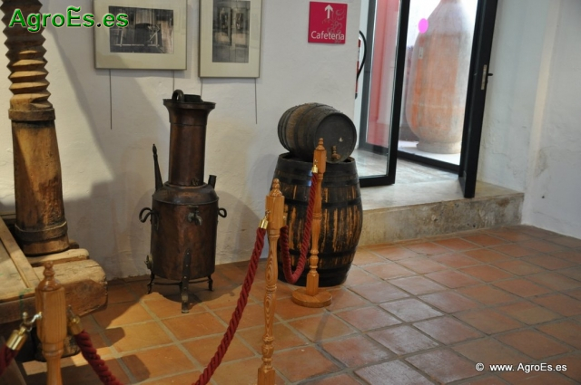 Museo del Vino_20