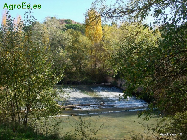 Río Júcar en Fuensanta