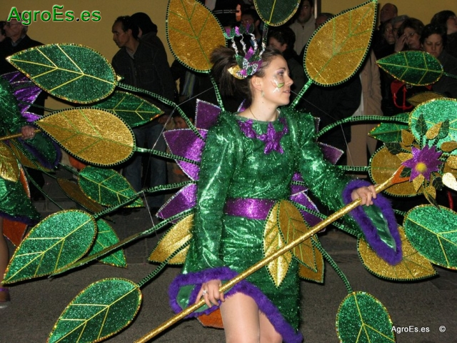 Carnavales de Villarrobledo