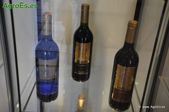 Botellas de Vino_5