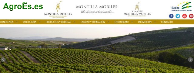 Vino y Vinagre Montilla Moriles - Denominación de Origen