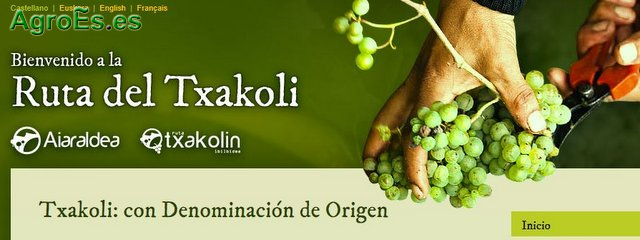 En Euskadi existen tres Denominaciones de Origen de Txakoli