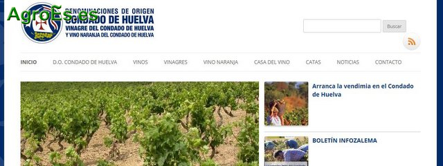 Vinos de Condado de Huelva, Vinagre y Vino Naranja con Denominación de Origen