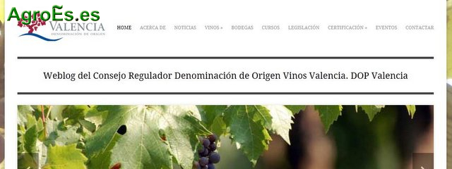 Vinos de Condado de Huelva, Vinagre y Vino Naranja con Denominación de Origen