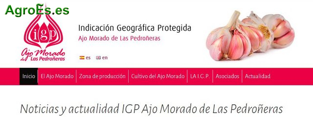 Ajo Morado de Las Pedroñeras con IGP Identidad Geográfica Protegida