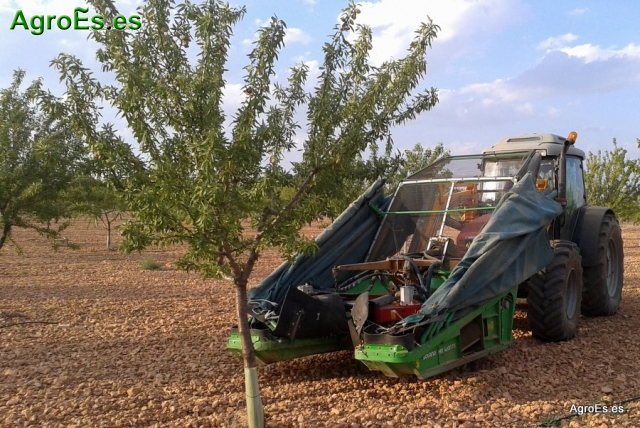 Recogida mecanizada de Almendros en Los Pocicos de Albacete
