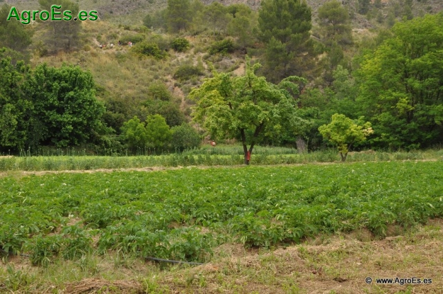 Control de La Agricultura Ecológica en España