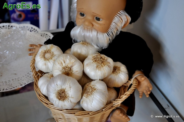 Feria Internacional del Ajo de Las Pedroñeras