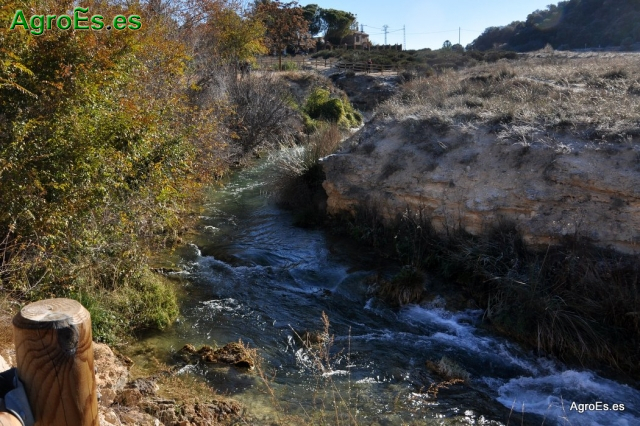 Camino natural del Río Guadiana