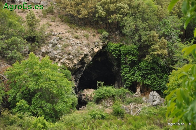 De Huelga Utrera a Cueva del Agua