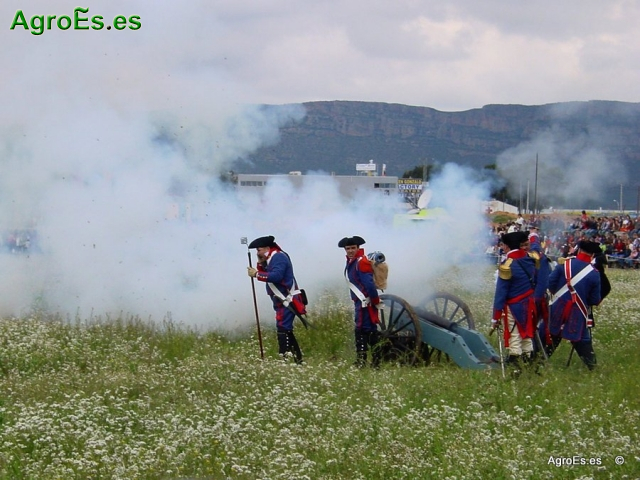 Centenario de Batalla de Almansa