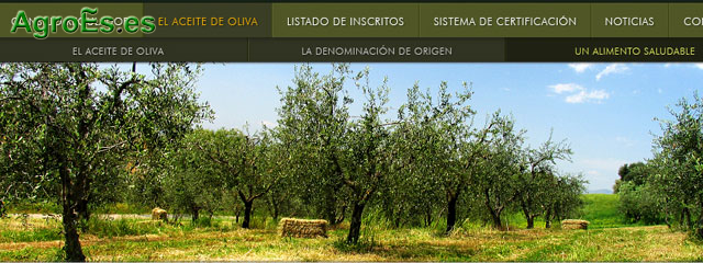 Aceite de Oliva Comunitat Valenciana