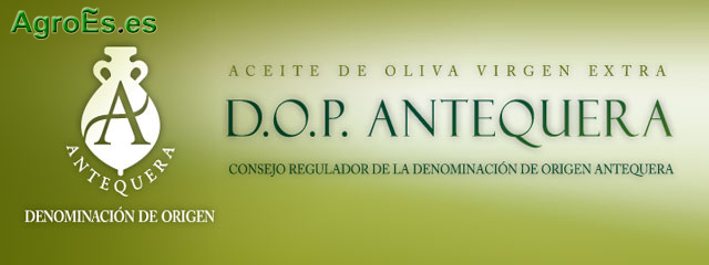 Aceite de Oliva Antequera