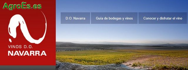 Vino de Navarra