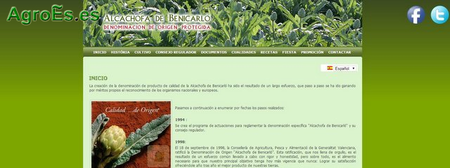 Alcachofas de Benicarló