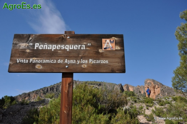 Panorámica Ayna y Picarzos_1
