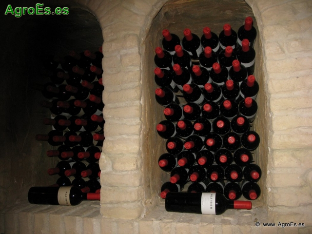 Botellas de Vino_3