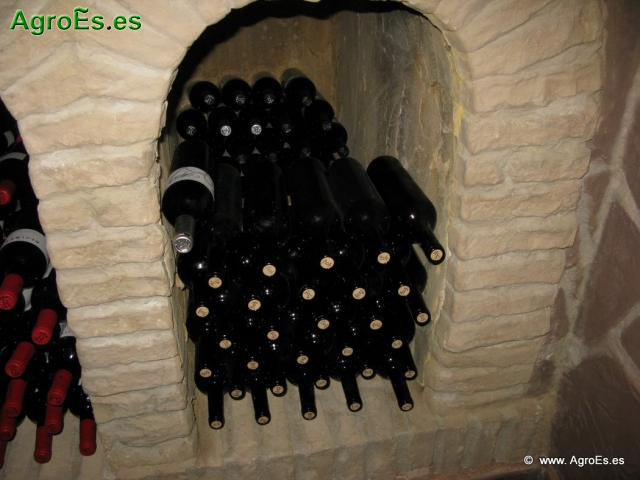 Botellas de Vino_6