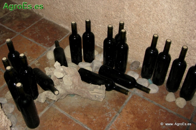 Botellas de Vino_7