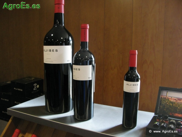 Botellas de Vino_15